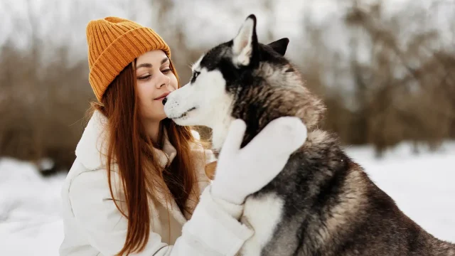 Pets and Pet Care
